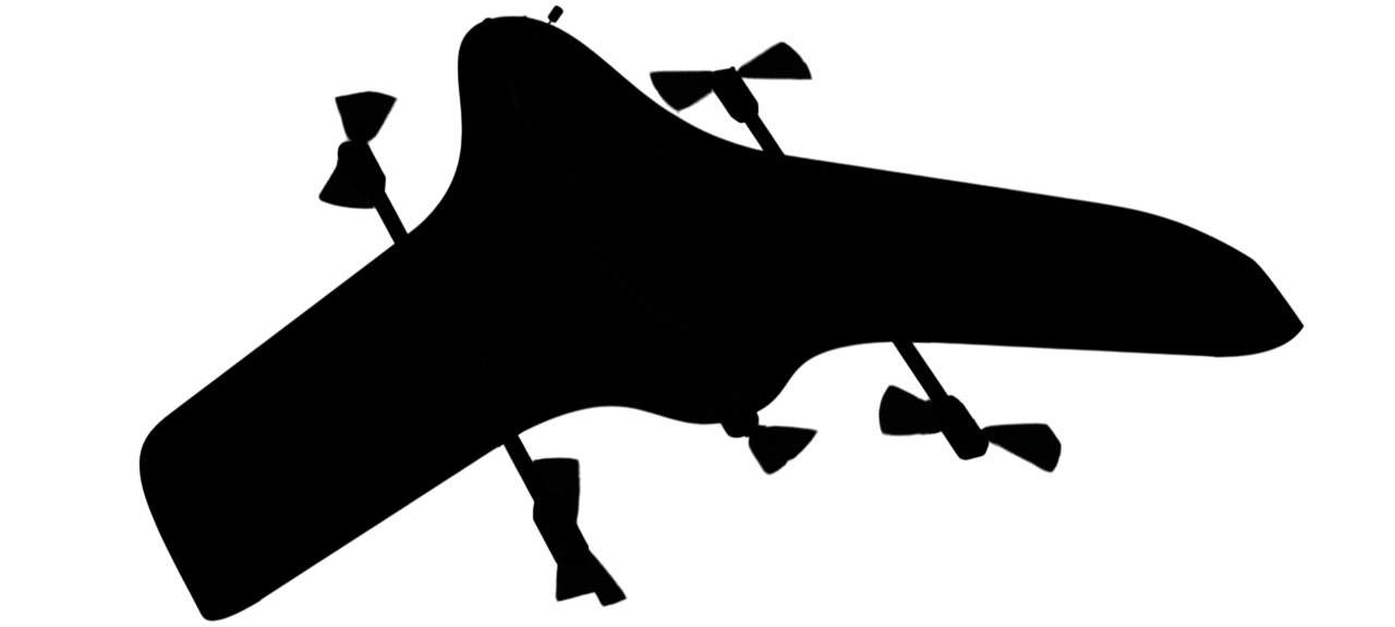 SkySentinel Sarvatra